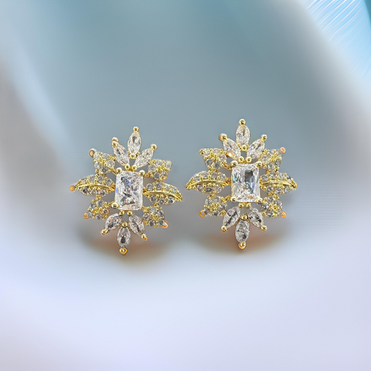 Gold Carat Earrings